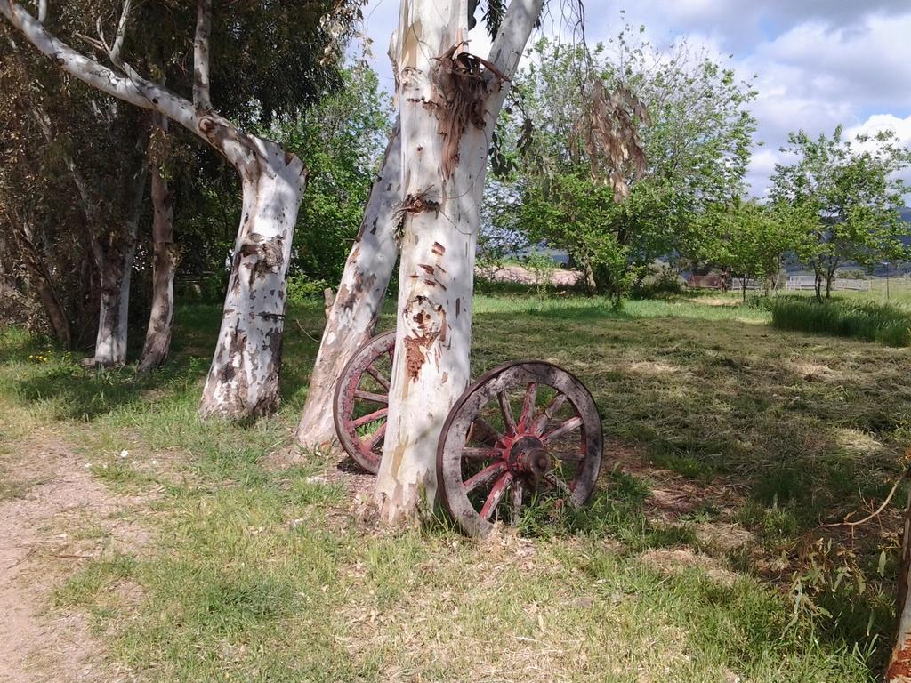 Agriturismo Spinalva Perfugas Esterno foto